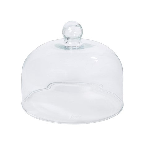 Large Glass Dome by Costa Nova